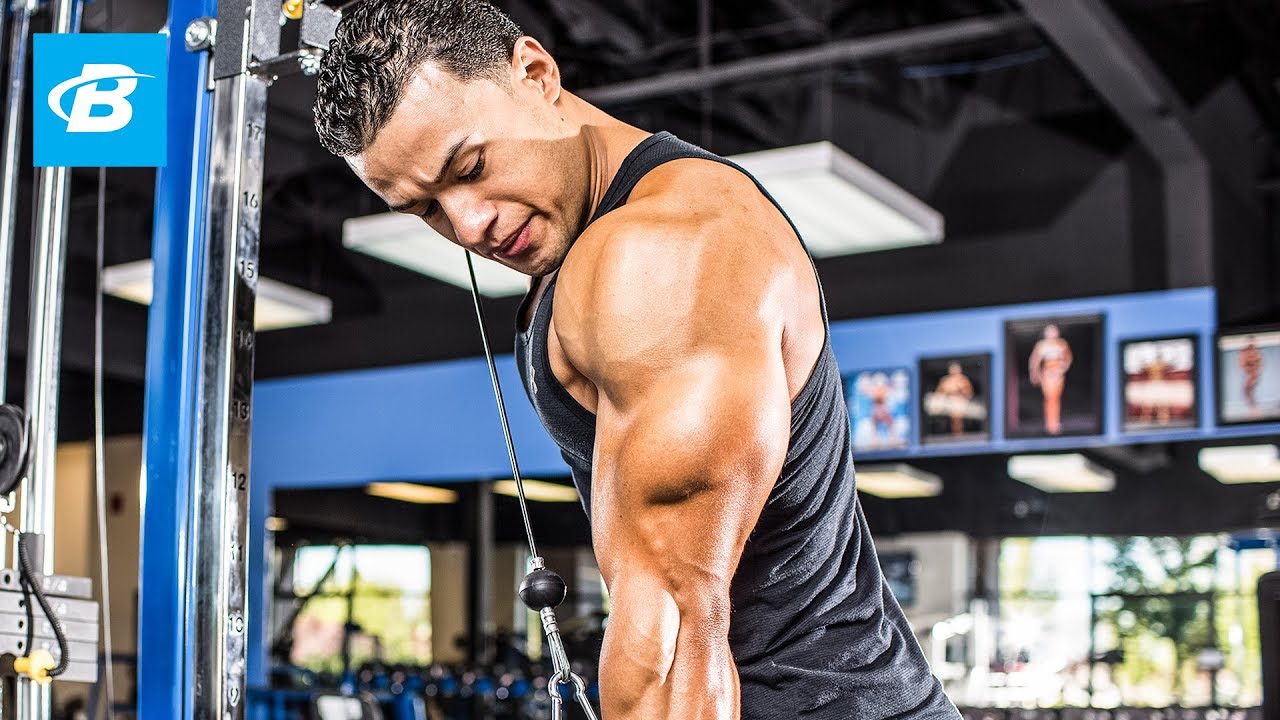 Ultimate Shoulders & Triceps Blast | Steven Lopez