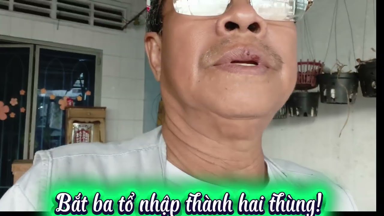 Bắt ba tổ nhập lại thành hai thùng!