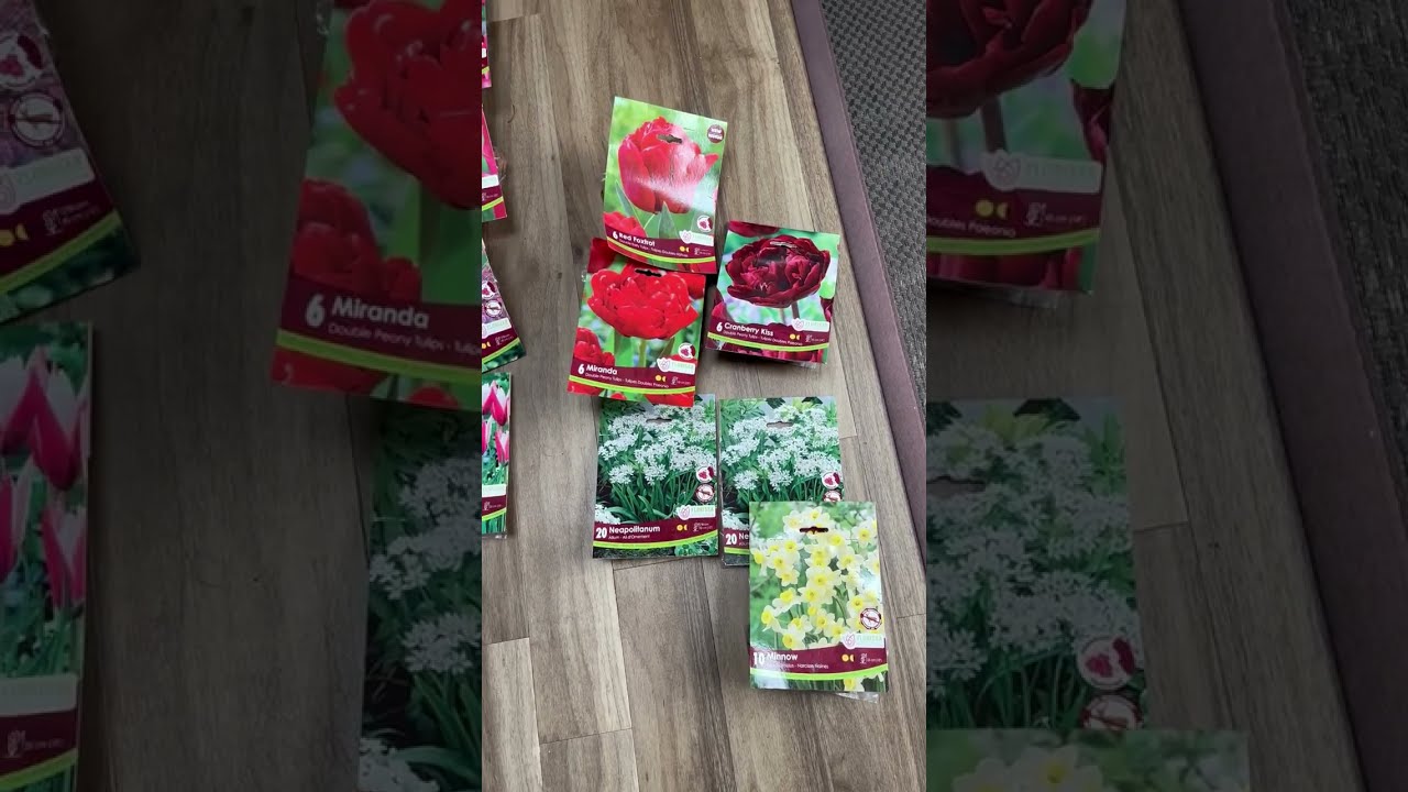 Bulb haul & flash sale!
