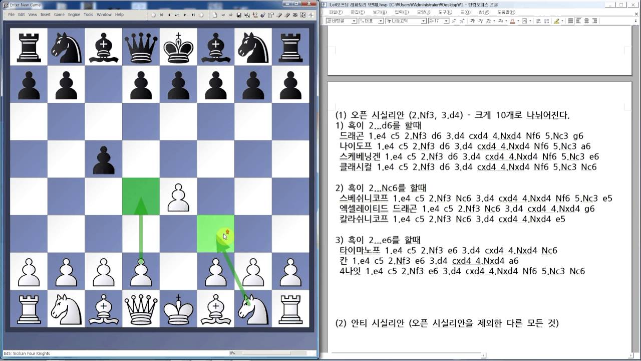 1.e4 오프닝 백 레파토리 (5)시실리안 기본정보, 시실리안 나이도프