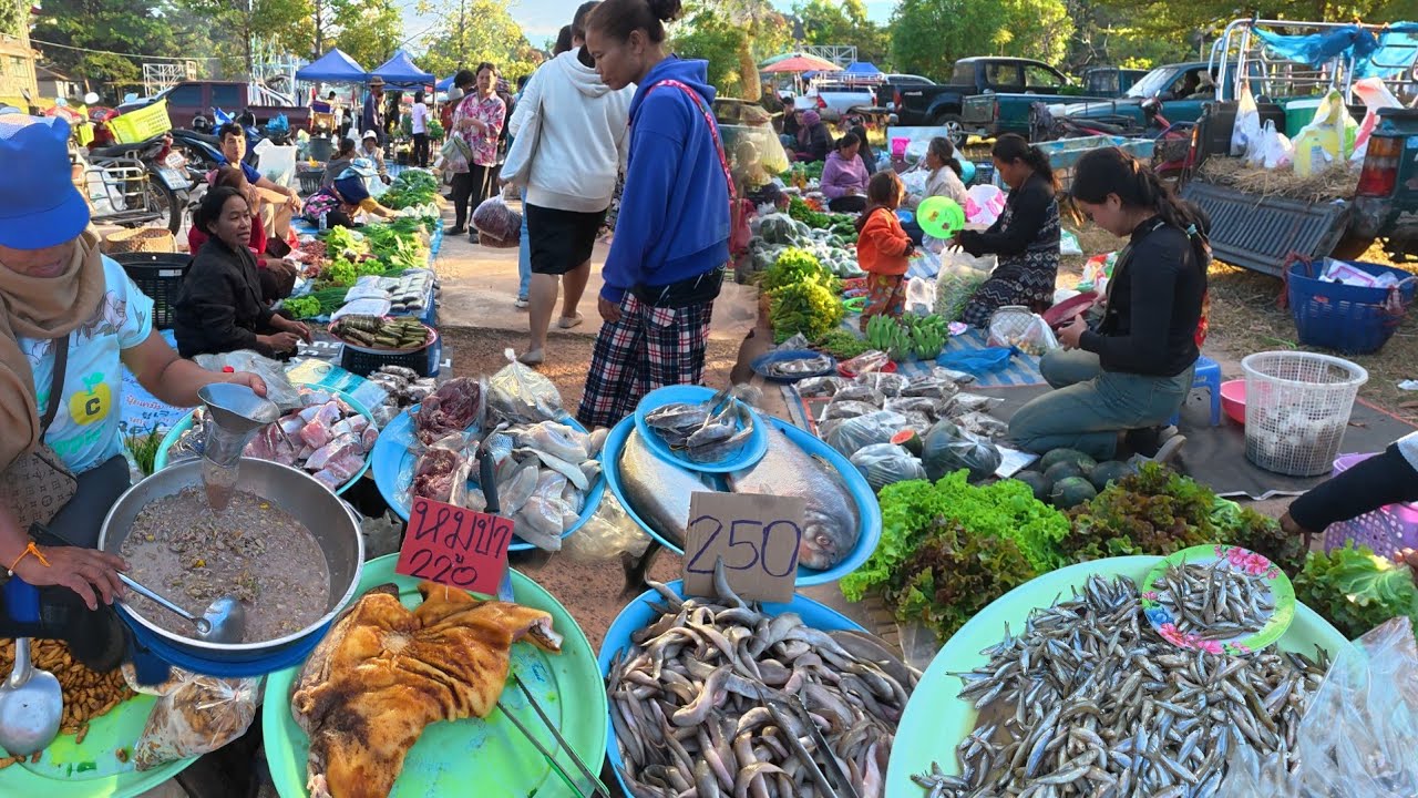 #หอยขัว #หนูนา #ปลาสูบสระ #อาหารพื้นบ้าน #อาหารอีสาน ตลาดเช้าอำเภอกุดข้าวปุ้น อุบลราชธานี