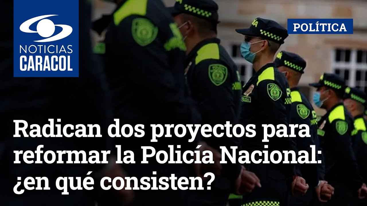Radican dos proyectos para reformar la Polic&iacute;a Nacional: &iquest;en qu&eacute; consisten?