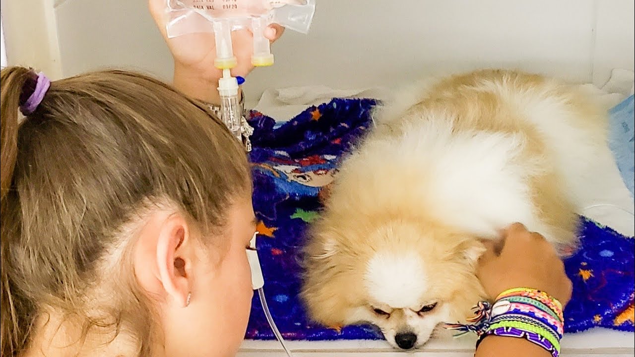 BELINHA ESTÁ DOENTE ☆ Mileninha ☆