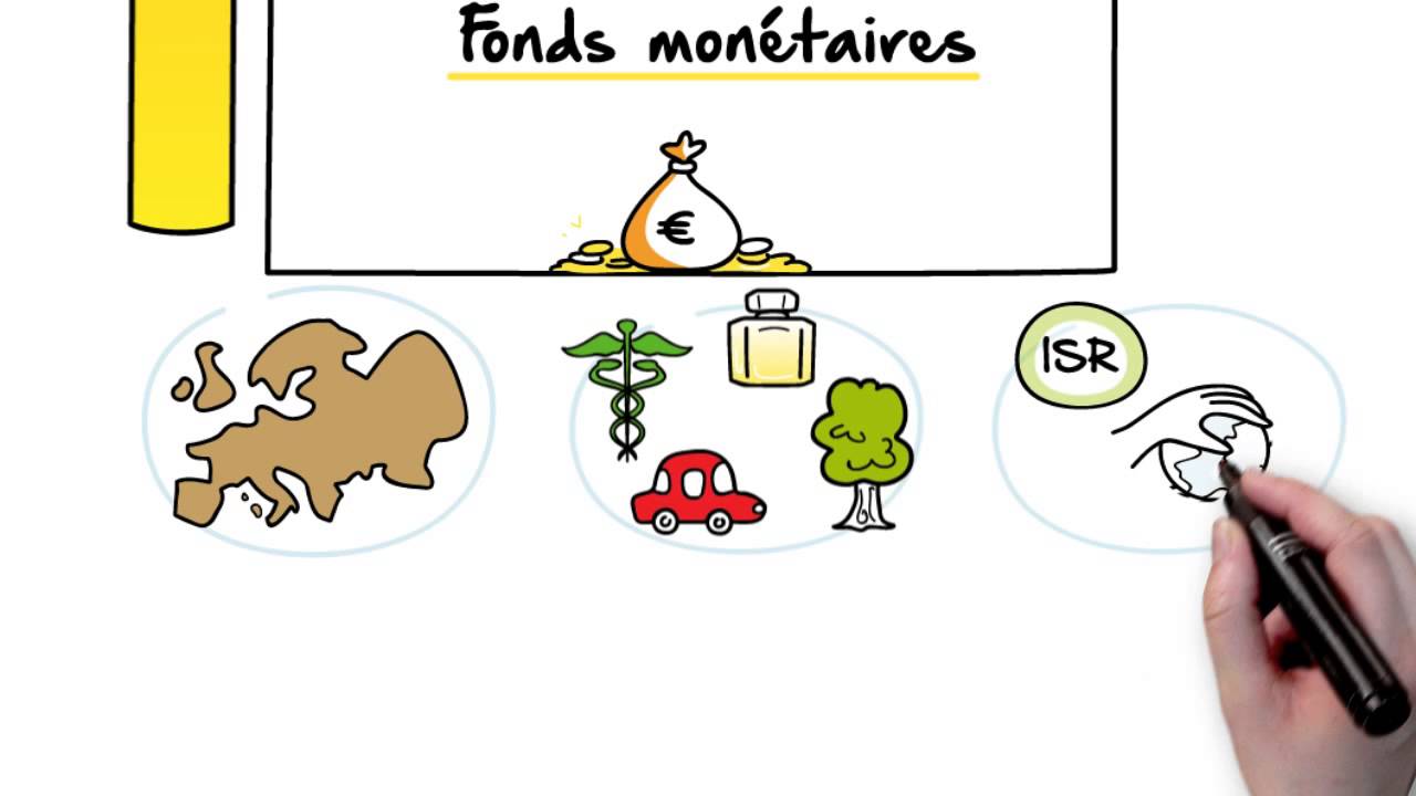 INC AMF - Pourquoi et comment Investir dans un FCP ou une SICAV ? - La vidéo dessinée selon Toolearn
