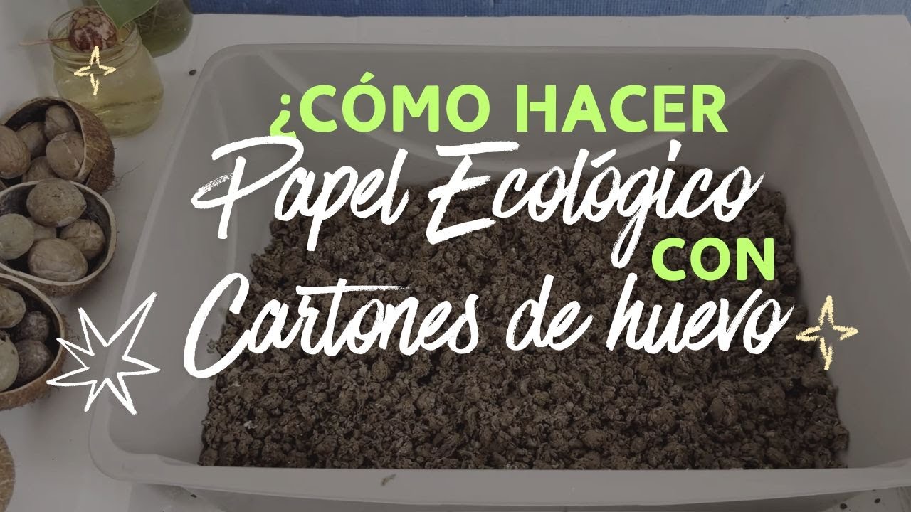 Cómo hacer papel reciclado en casa | Papel ecológico paso a paso