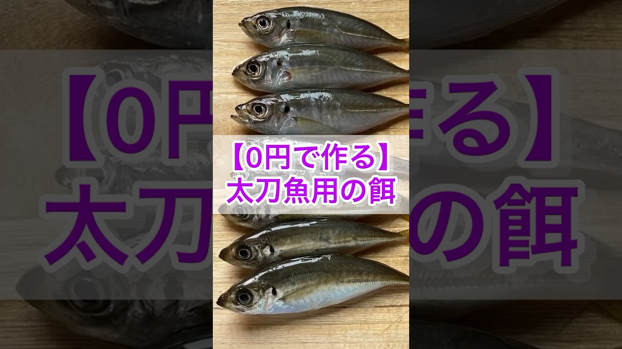 【0円で作る】太刀魚用の餌の作り方