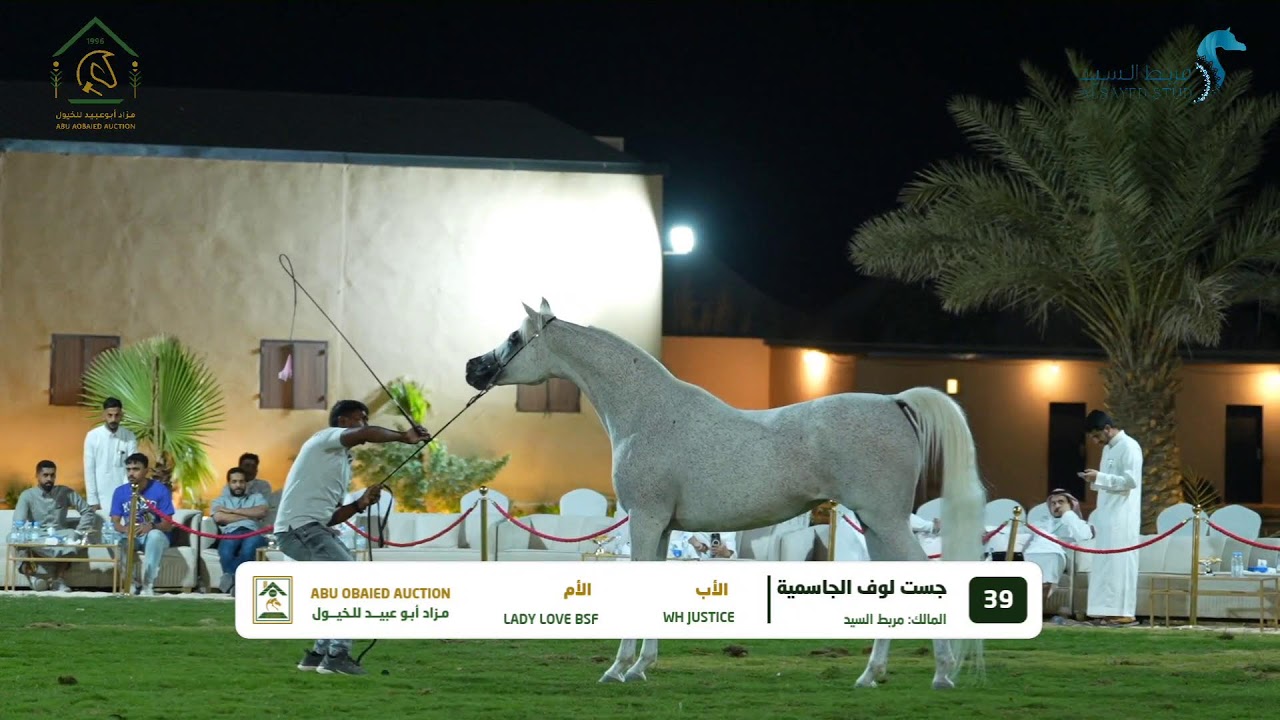 مزاد خيل مربط السيد