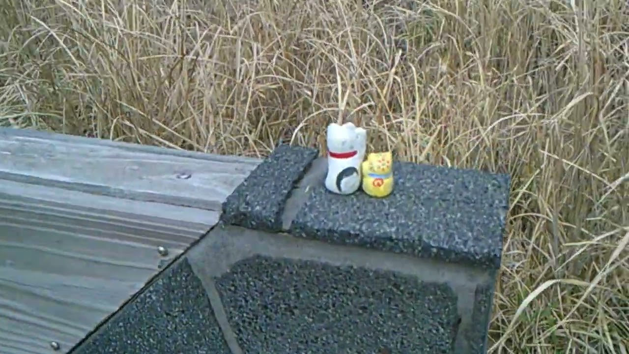 DSCF0027ひろちんの高峠山頂2月26日