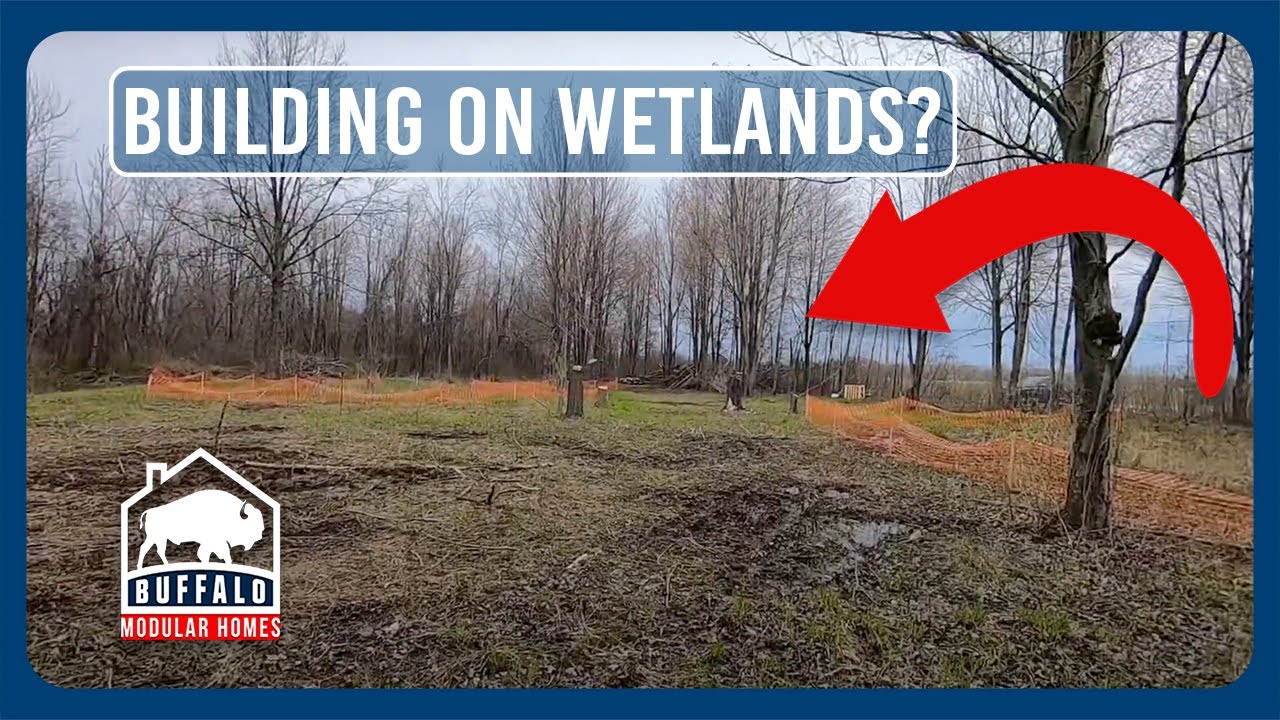 Can You Build On Wetlands?