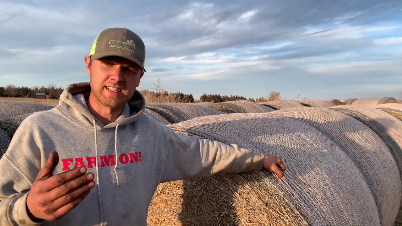 Out standing in their field? What happens to bales stored outside after over a year...