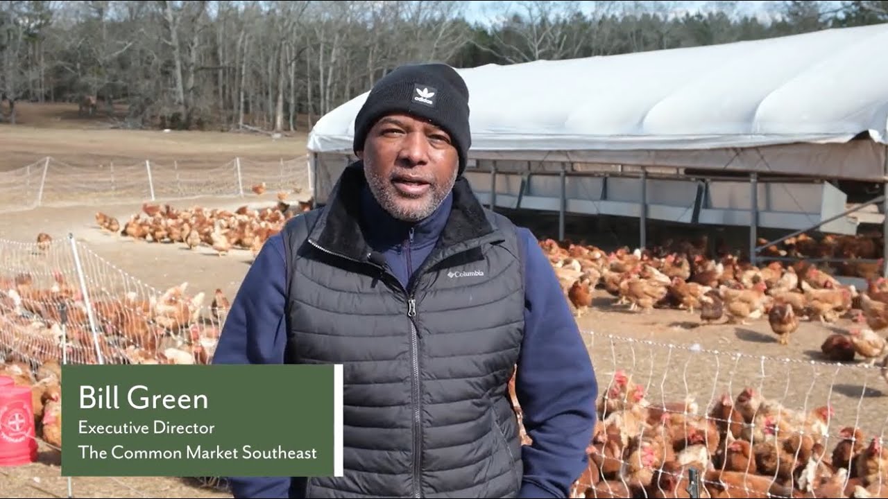 Supporting & Honoring Black Farmers in the South
