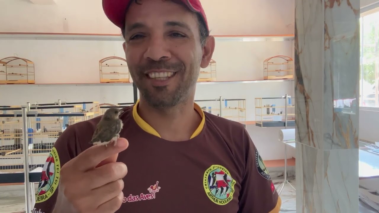 Como identificar qualidade de bico.