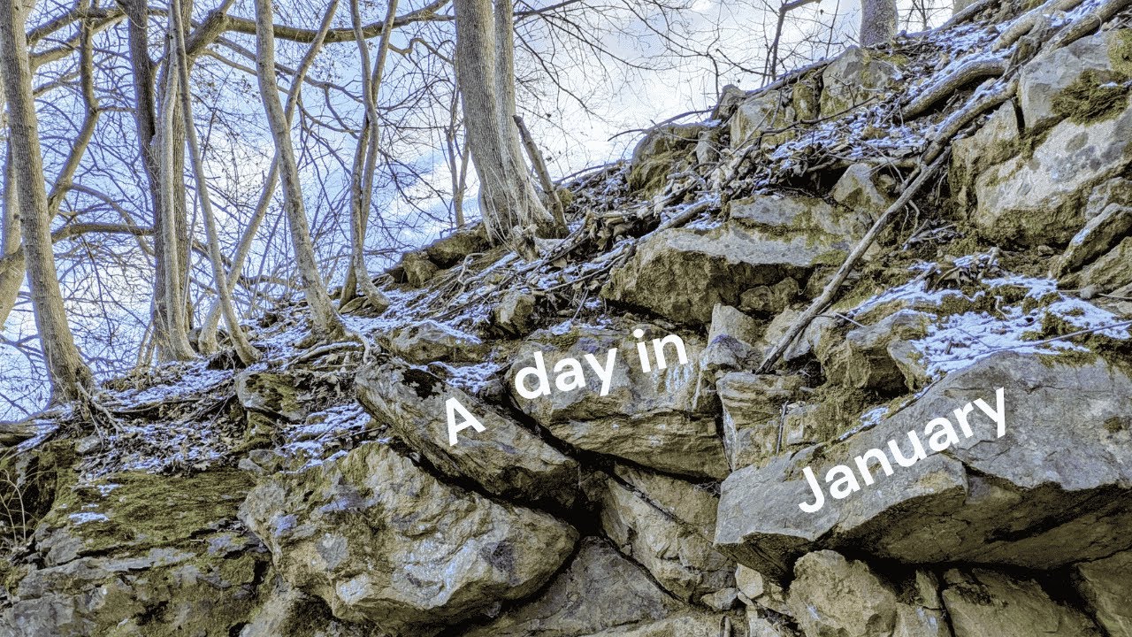 Bleak Winter Trail Ambience | Moody January Nature Sounds for Sleep, Study, & Meditation