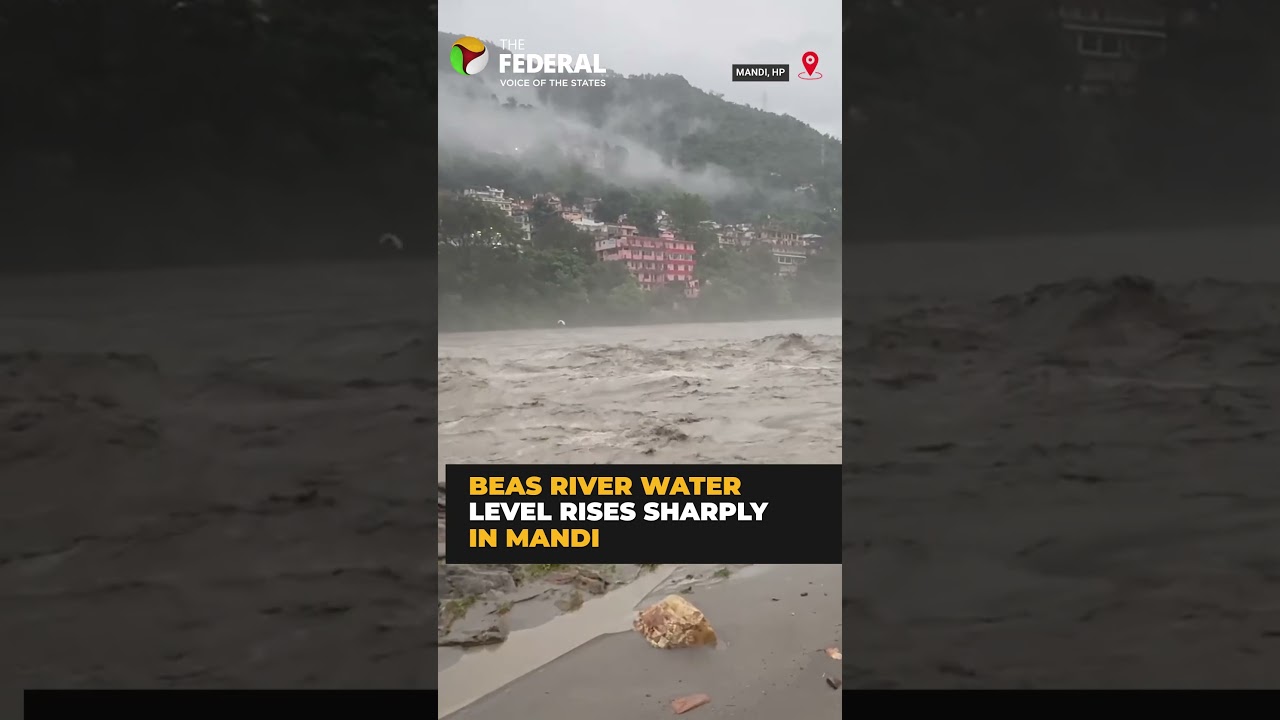 Heavy rain makes Beas River rise in Mandi | #shorts