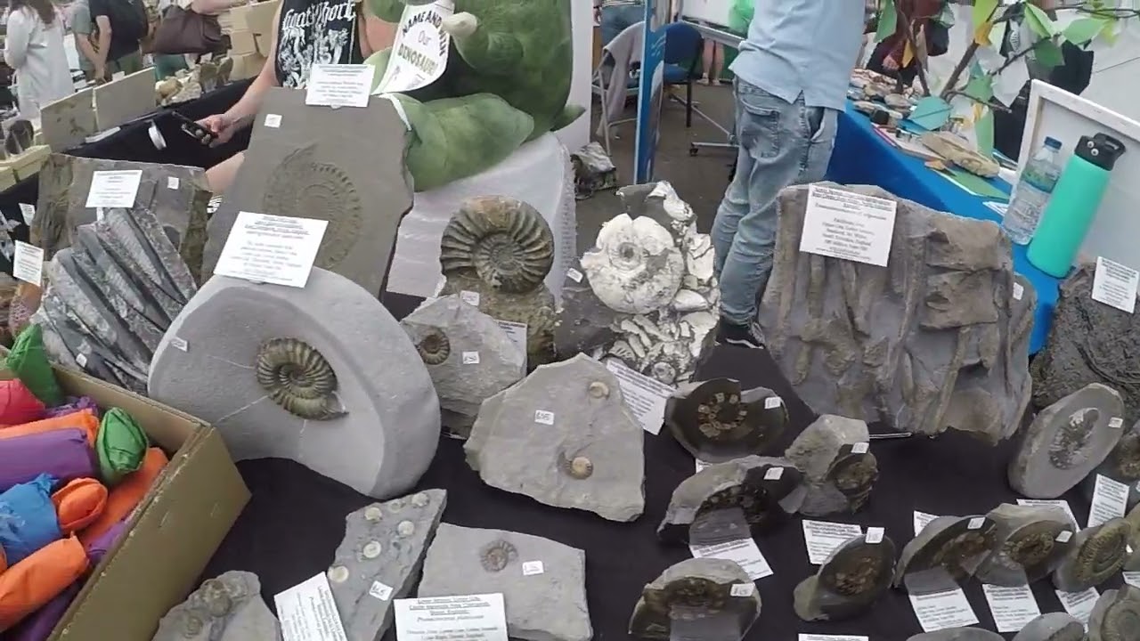 Yorkshire Fossil Festival Whitby 2023