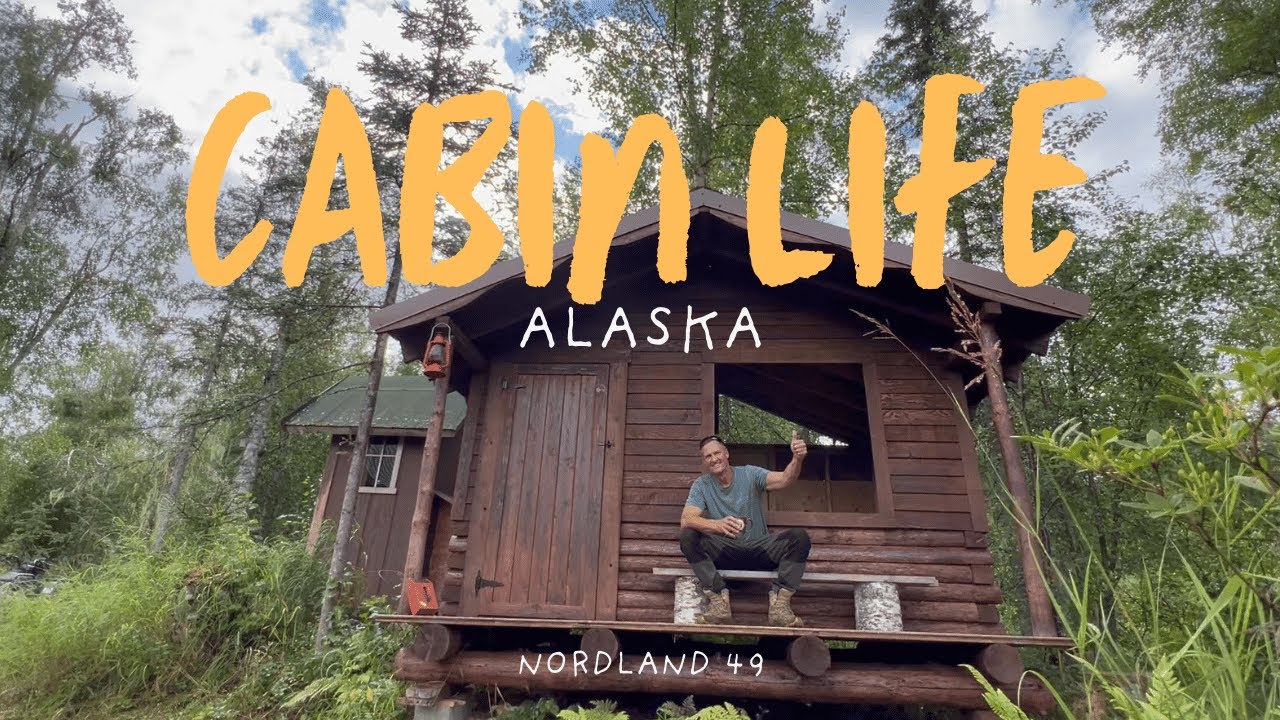 Alaska Off-Grid Cabin Life: Sauna Build + Wild Blueberry Harvest