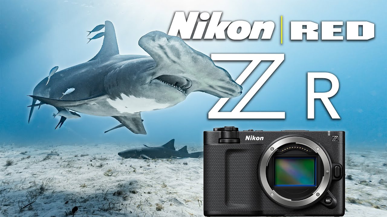 Nikon ZR Underwater Sample Footage // Ikelite 200DL Underwater Housing