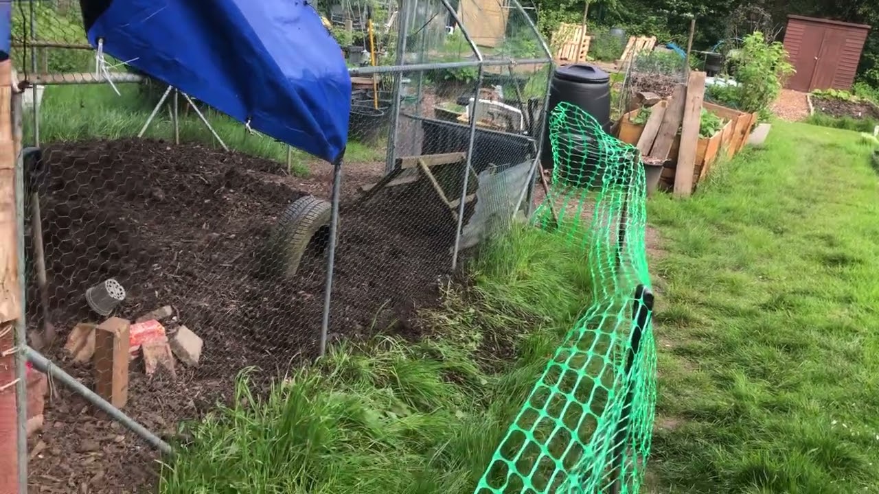 Marks Remarks: Using Chickens Too Keep The Grass  Short