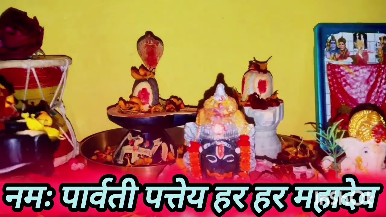 23 जनवरी माघ शुक्रवार बसंत पंचमी के दिन 11 गेंहू के दाने वाला उपाय जरुर करे || Pradeep Ji Mishra