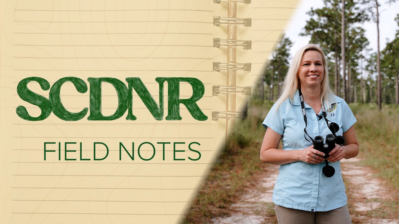 SCDNR Field Notes: Land Grant Acquisition