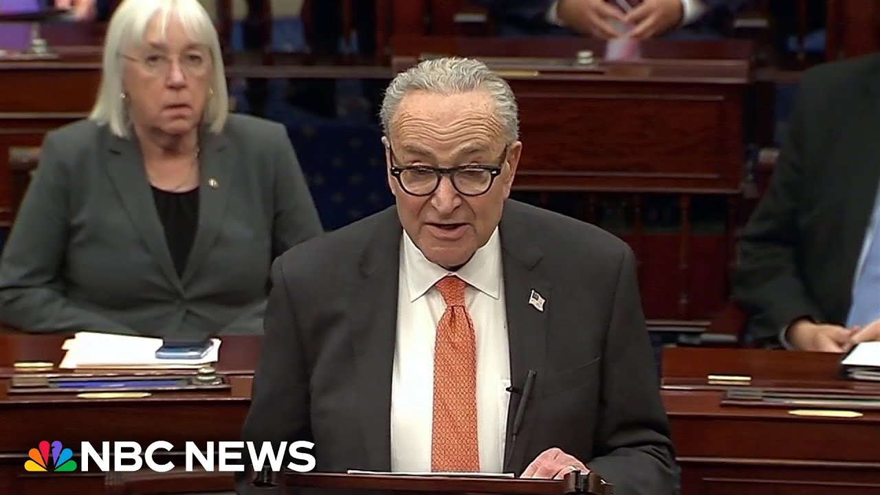 Schumer puts forward new plan to end government shutdown