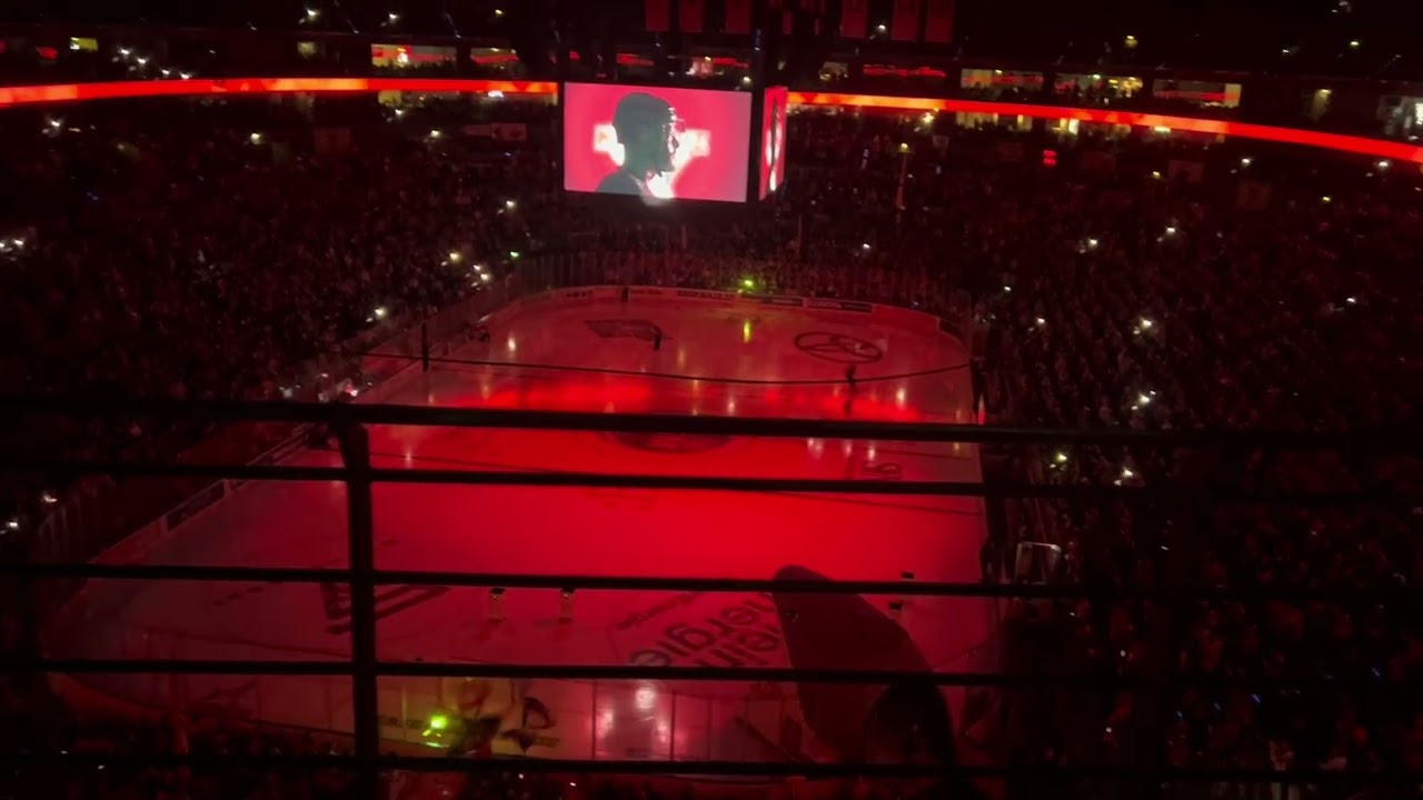 Kölner Haie 🦈 Einlaufen ; gegen Dresden 7-2