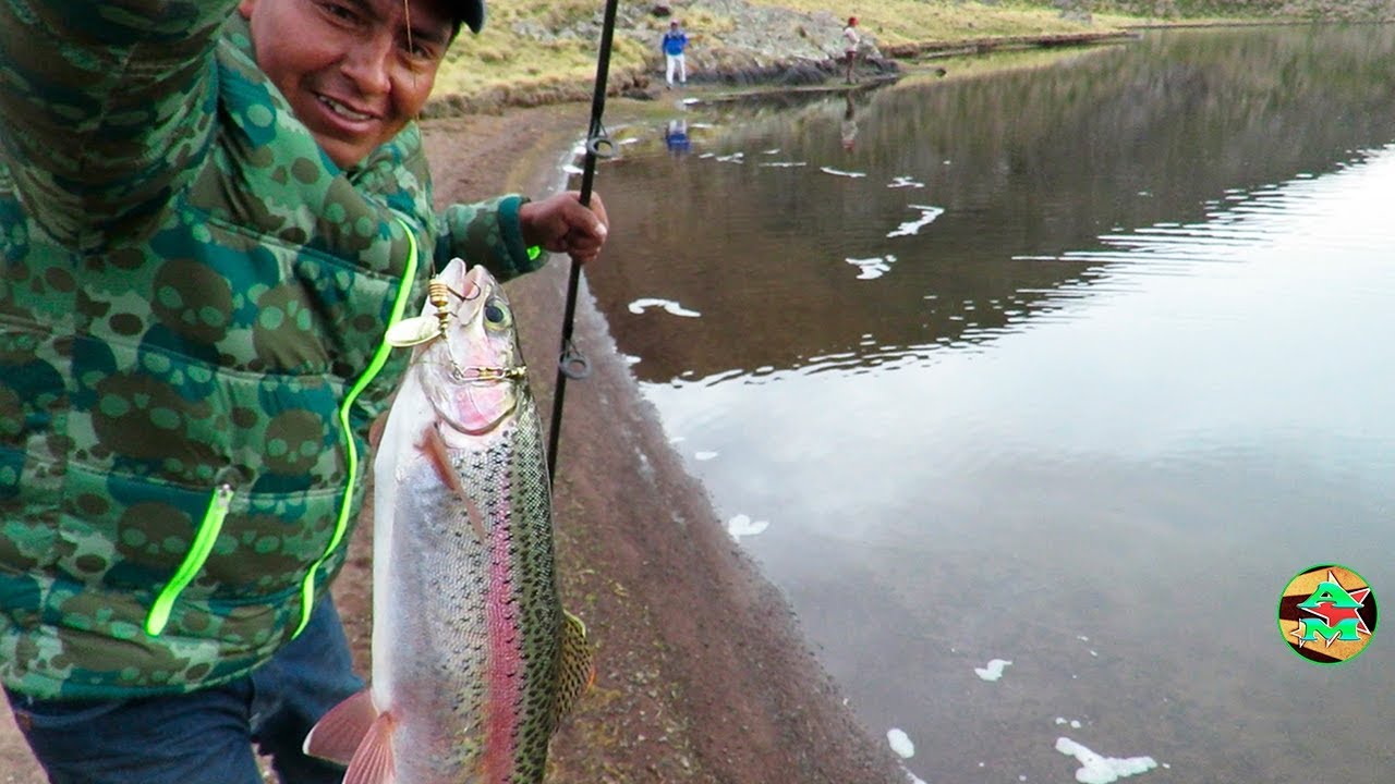 Emocionante PESCA DE TRUCHAS GRANDES EN LAGUNA - Pescando Truchas