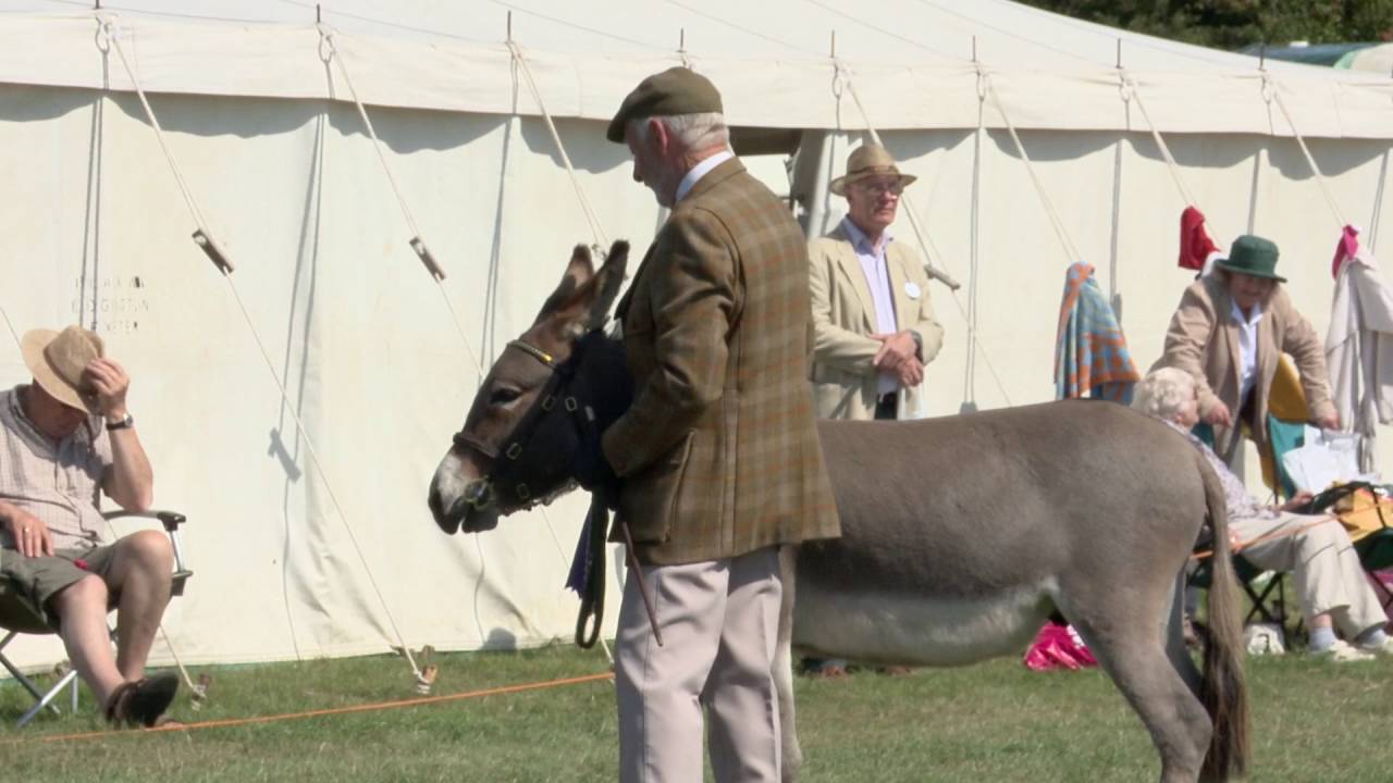 Melplash Show - A great day out for the whole family!