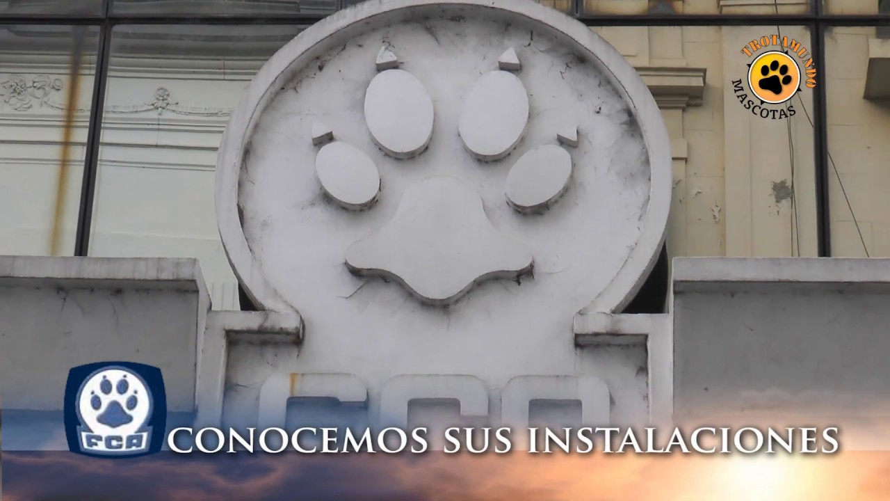 Visitamos la  FCA Federación Cinológica Argentina
