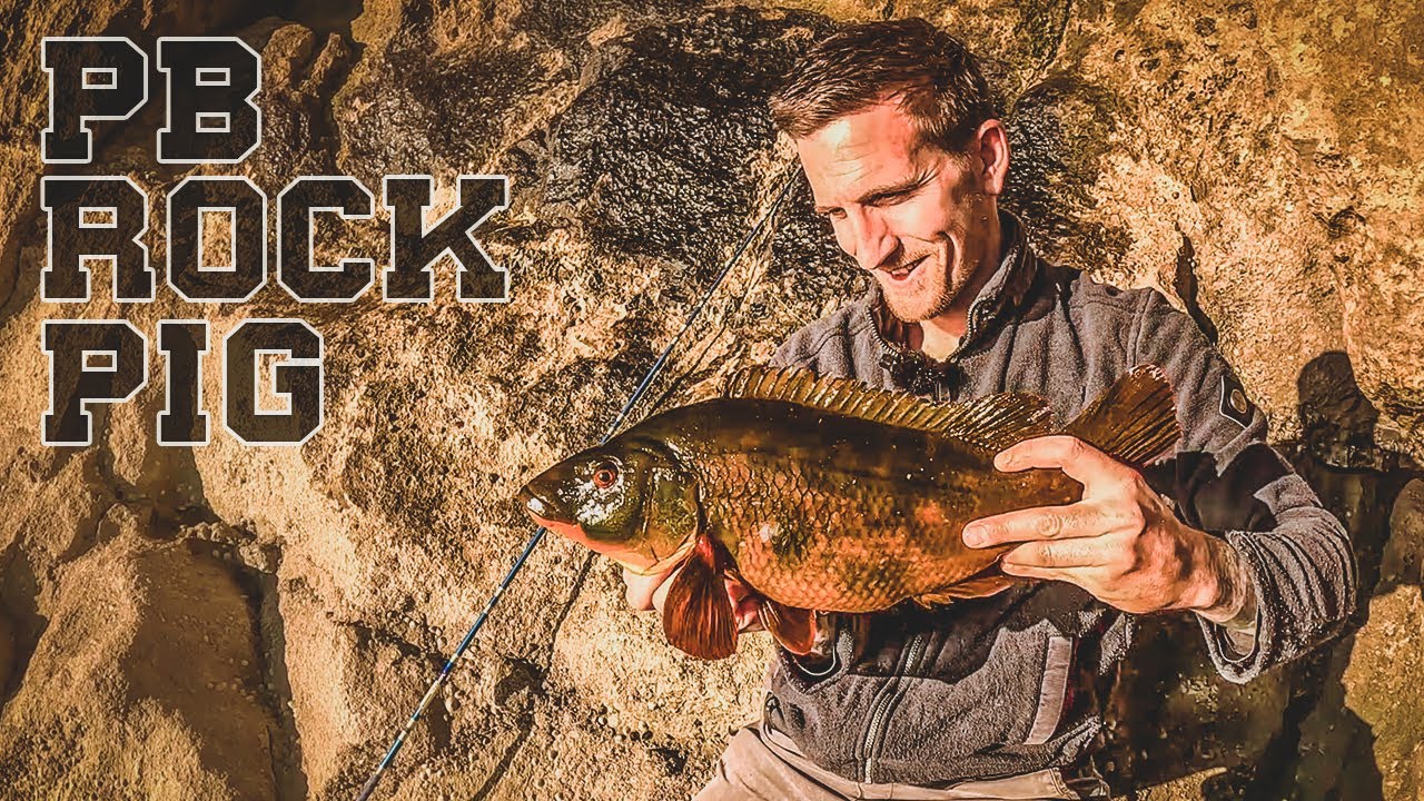 BIG Wrasse on Budget Rigs! Sea Fishing at Dorset's Fossil Forest