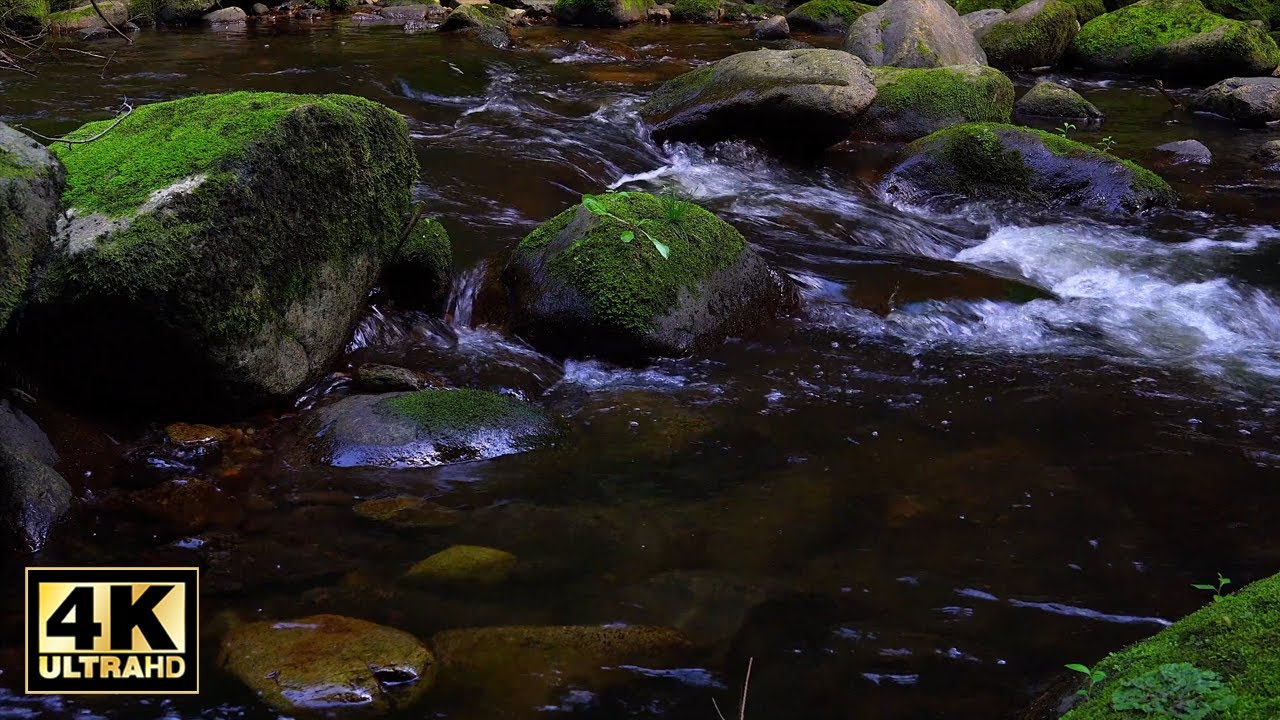 Fiume 4K - Rumore fiume - Rilassante suono fiume - Flusso d'acqua - Acqua che scorre