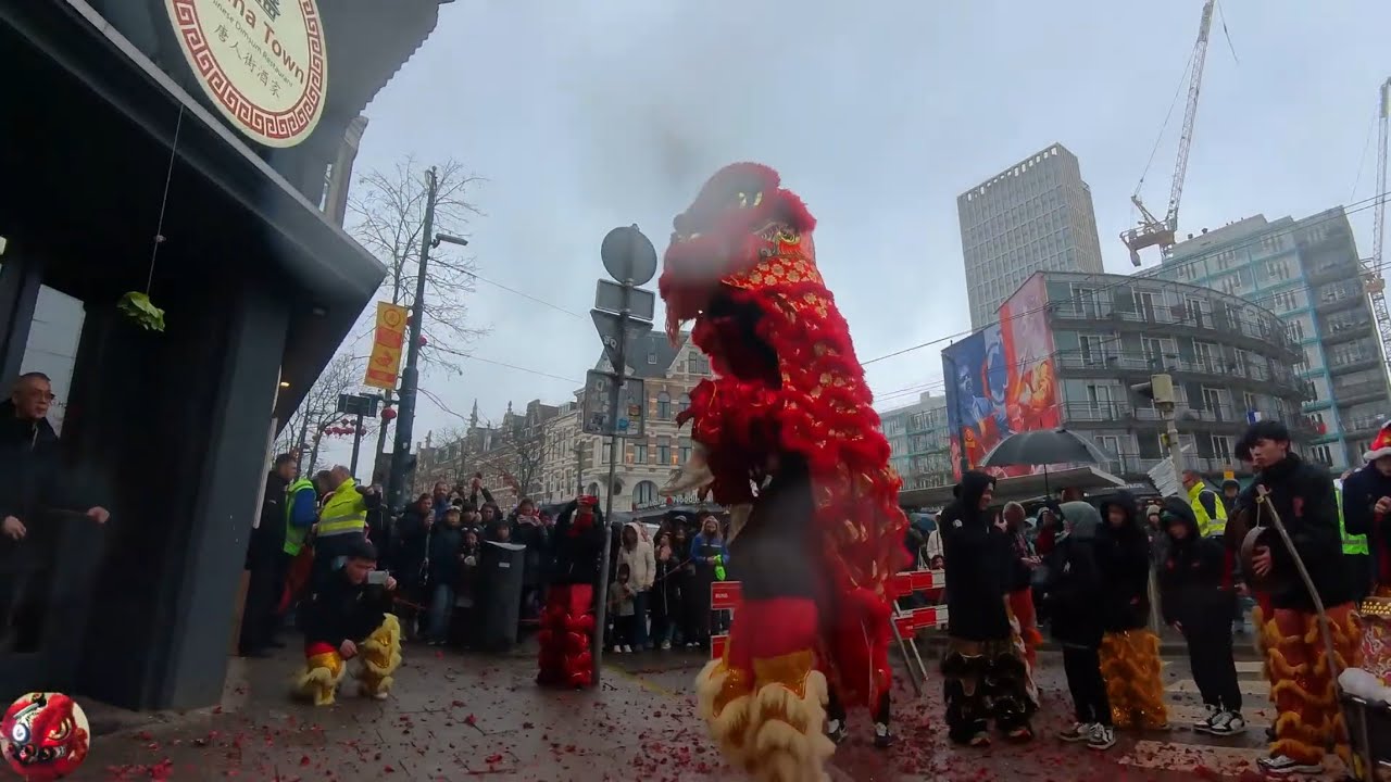 China Town Dimsum Rotterdam Part 2 (POV) | Lion Dance | Rotterdam Chinese New Year 2026 农历新年