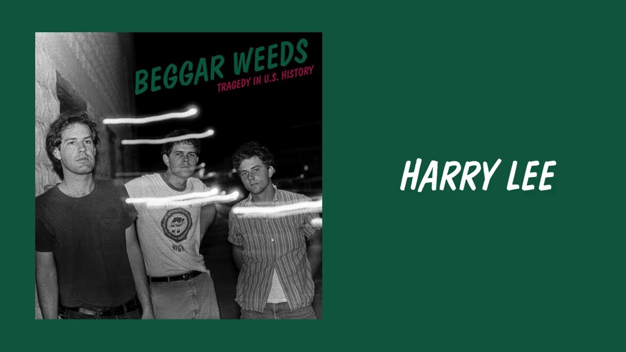 Beggar Weeds - Harry Lee (Official Audio)