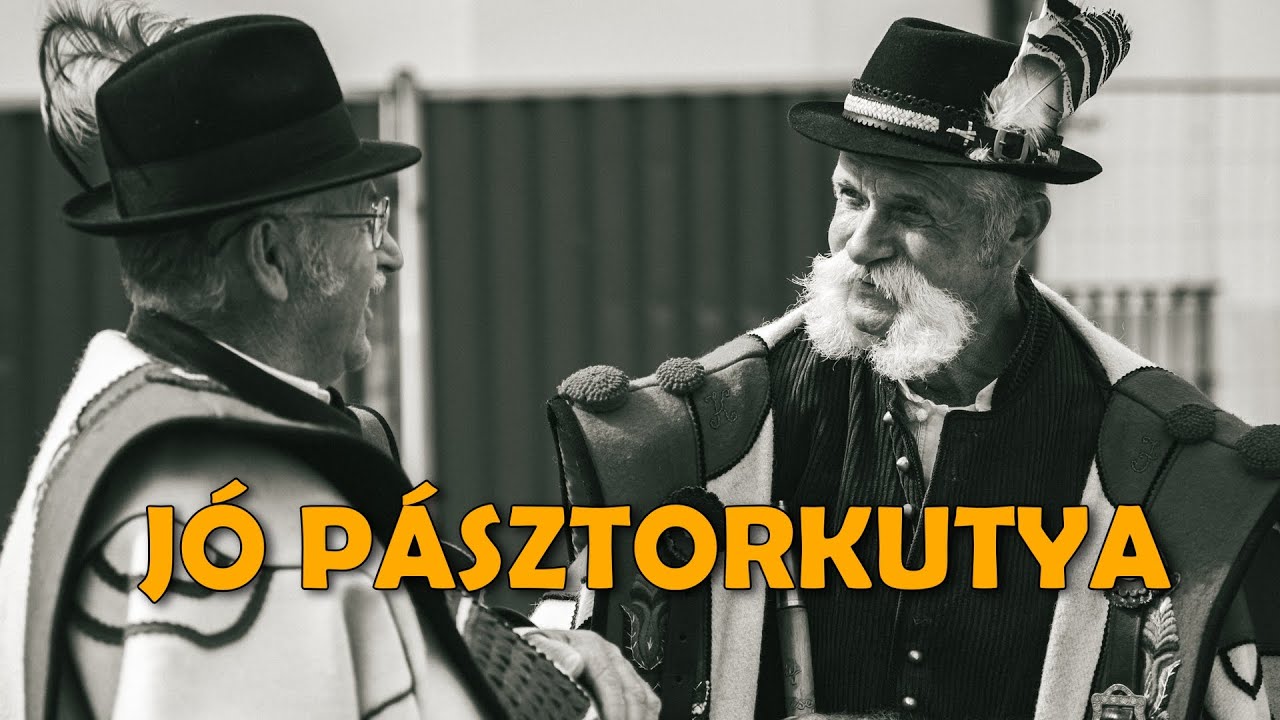 Így nevelik a pásztorkutyát: A kölyök kiválasztása és tanítása | Pásztorok a Bakonyból (2. rész)