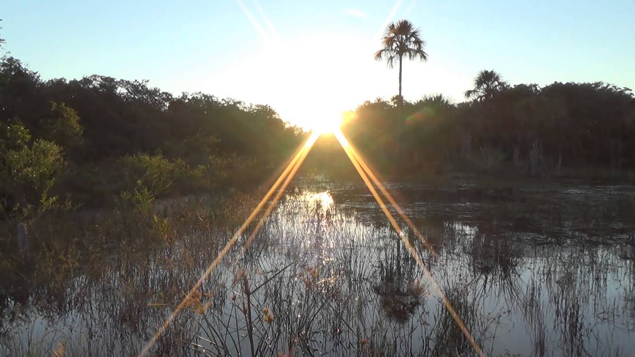 PÔR DO SOL, AO CANTO DO BACURAU, SERIEMA, CORUJA-BURAQUEIRA, ENTARDECER NO CAMPO, CURIANGO.