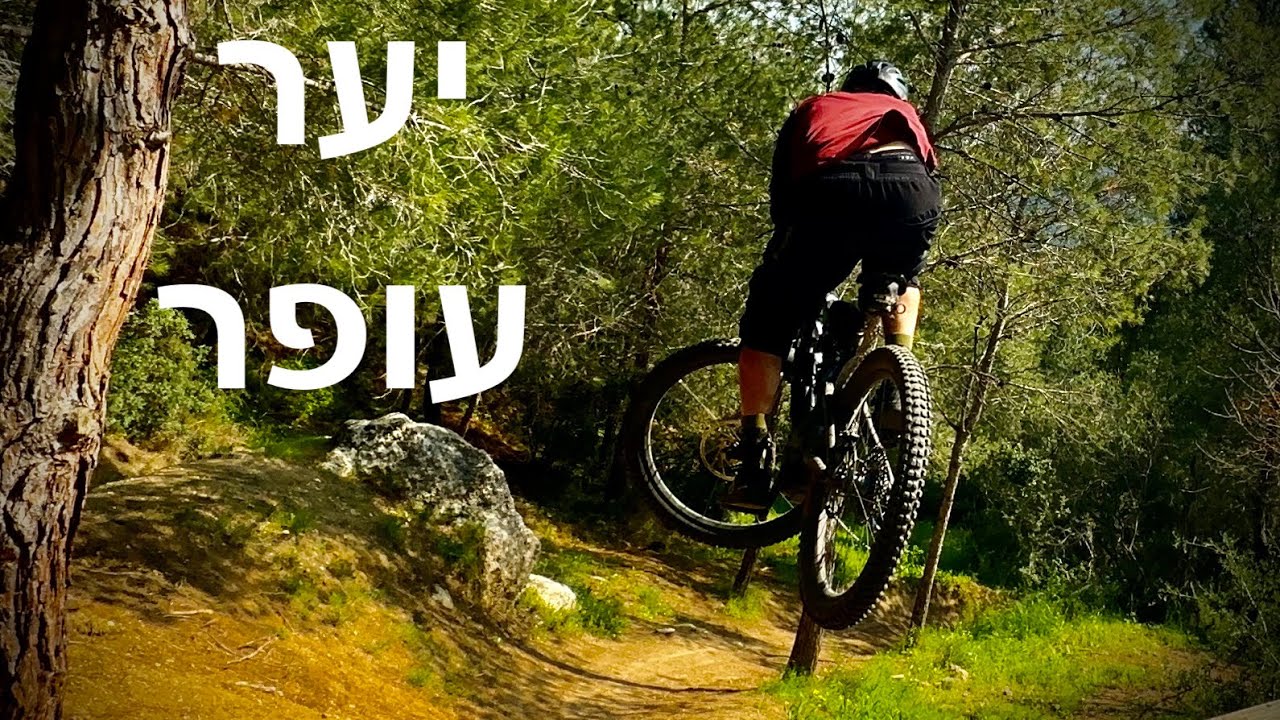שיחרור חדש ביער עופר