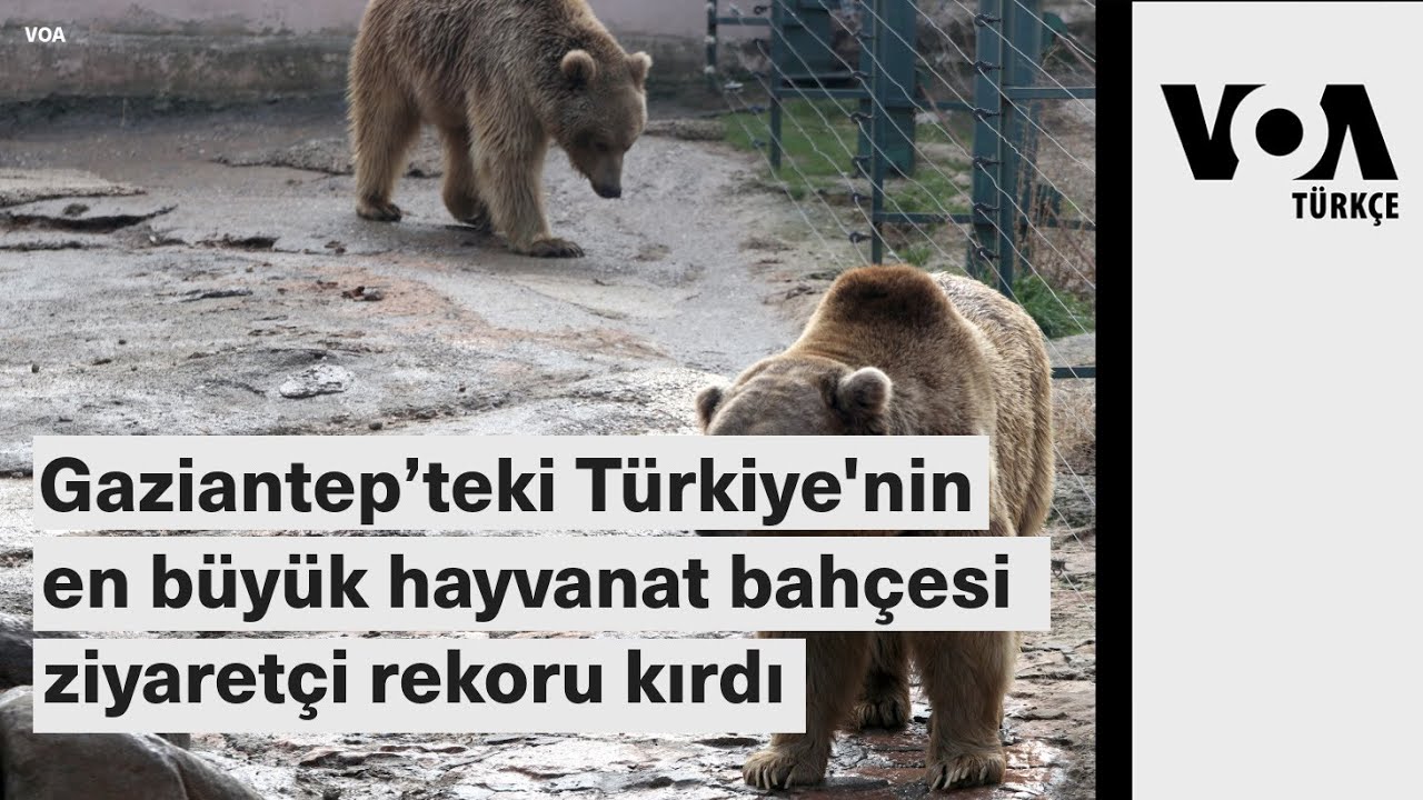 Gaziantep’teki Türkiye'nin en büyük hayvanat bahçesi ziyaretçi rekoru kırdı| VOA Türkçe