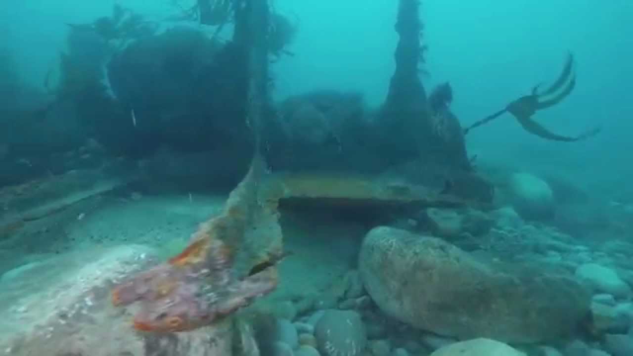Dorset Sealife: Chesil Cove Underwater 03.04.2015 (Starfish, wrecks and more)