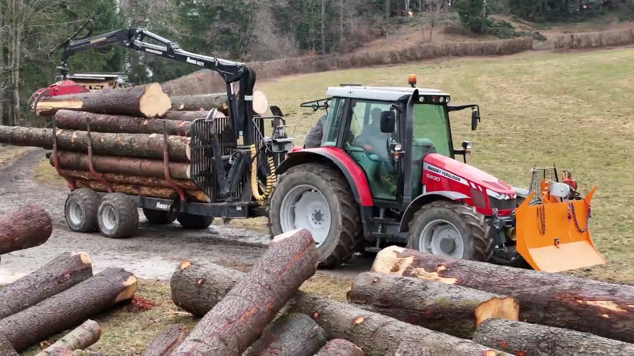 Forstarbeit 2024: Sturmholz aufarbeiten, Holzrückung- & Transport | MF 5430, MF 4225, Nokka, Tiger