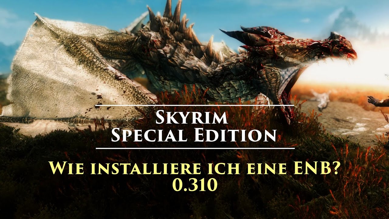 Wie installiere ich eine ENB v0.310 | Skyrim Special Edition Tutorial German