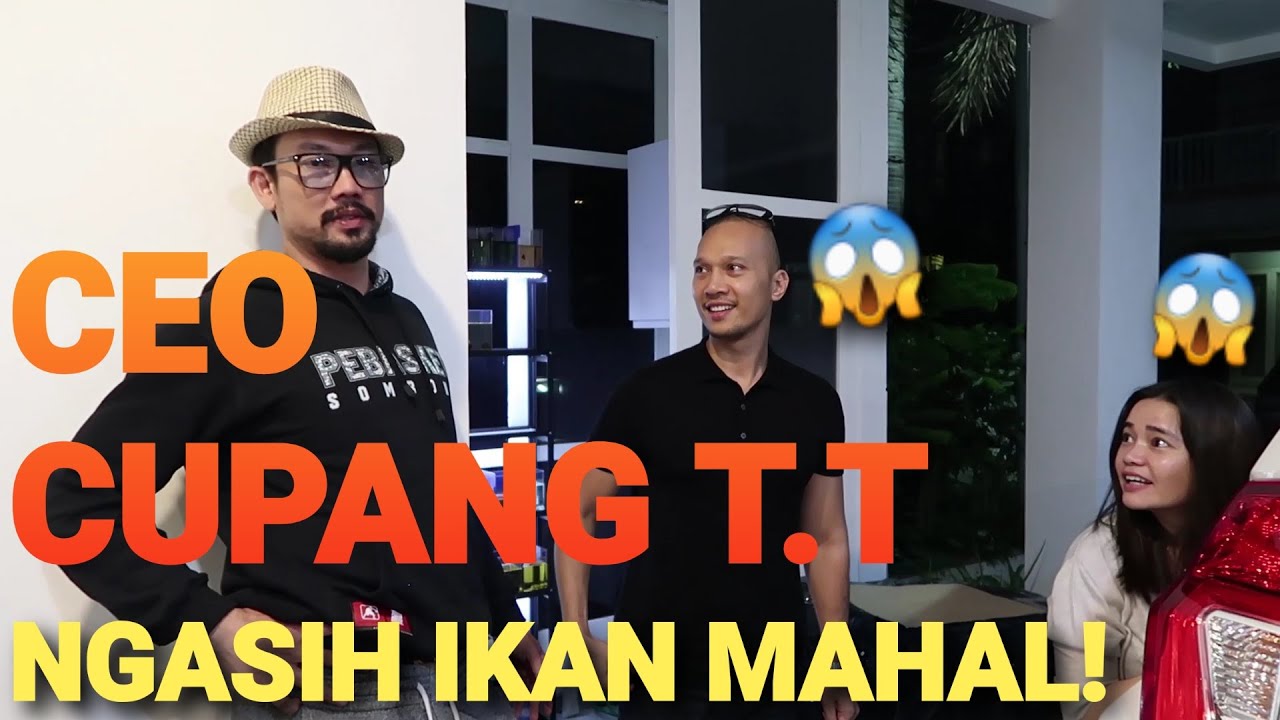 CUPANG SKRNG MAHAL2 YAH! 😱 DENNY SUMARGO SULTAN CUPANG 🙌