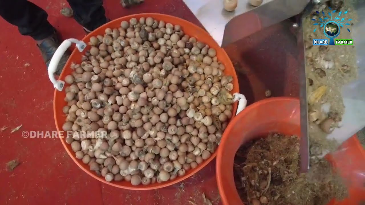 ಸ್ಮಿತ್ ಅಡಿಕೆ ಸಿಪ್ಪೆ ಸುಲಿಯುವ ಯಂತ್ರ |Smith Arecanut dehusking machine