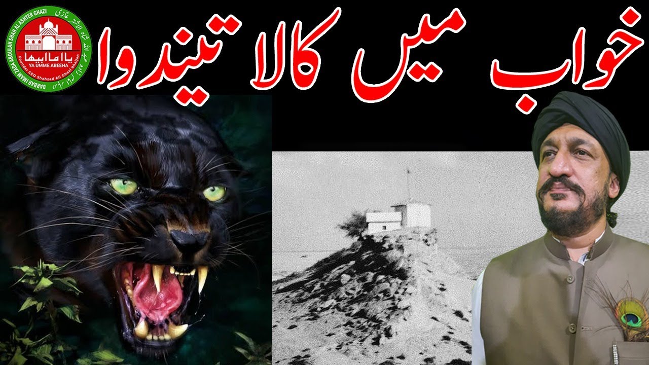 Khwab Black jaguar|سیاہ تیندوا خواب|काले तेंदुए का सपना|LeopardVision|Pari|Islam|Amal|Desi|Wzaif|Jin
