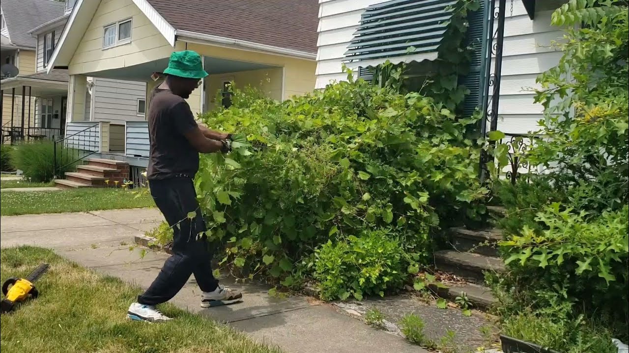 Homeowner Was SHOCKED I TRIMMED His OVERGROWN Bushes for FREE - Real Time
