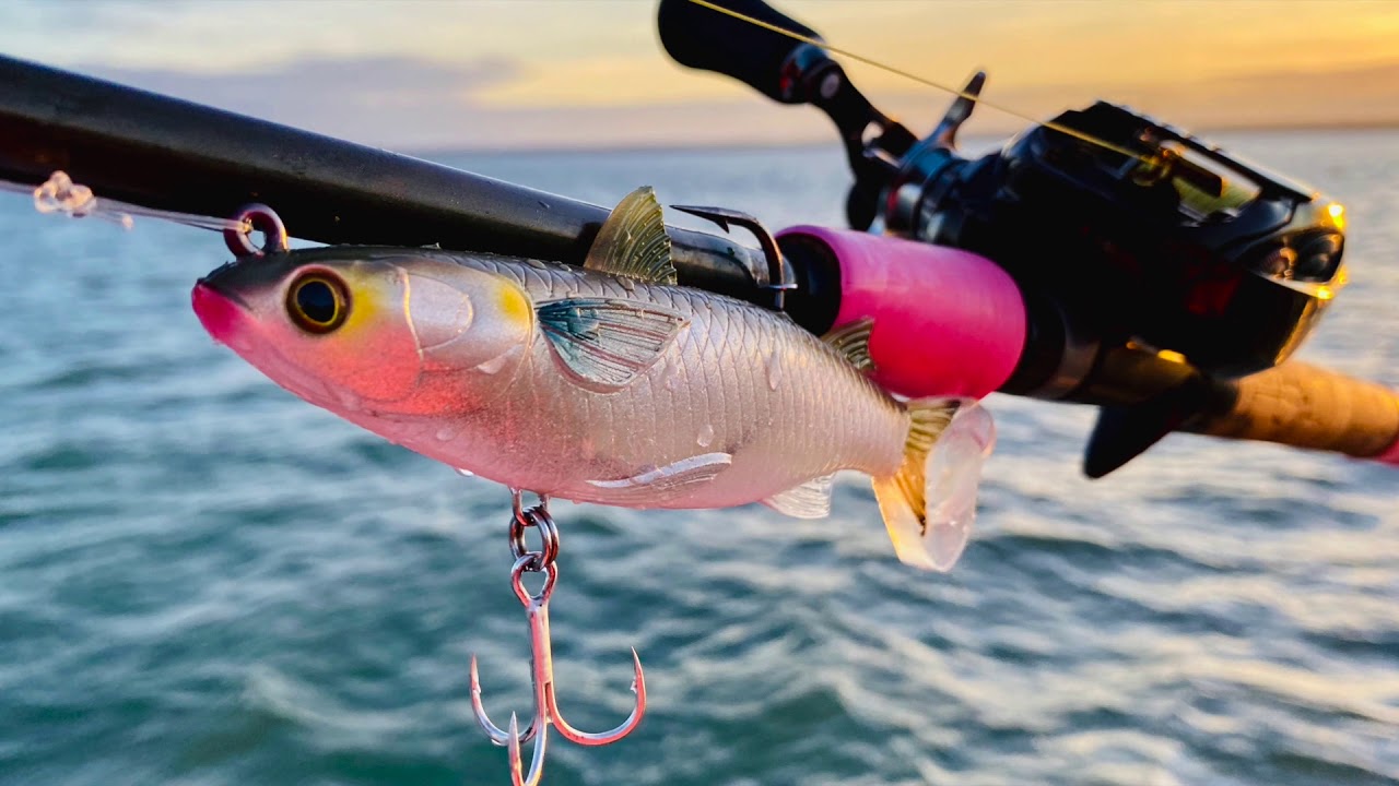 Live Target Swimbaits