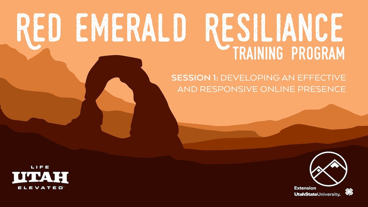 Developing an Effective and Responsive Online Presence - Red Emerald Resilience Training Session 1