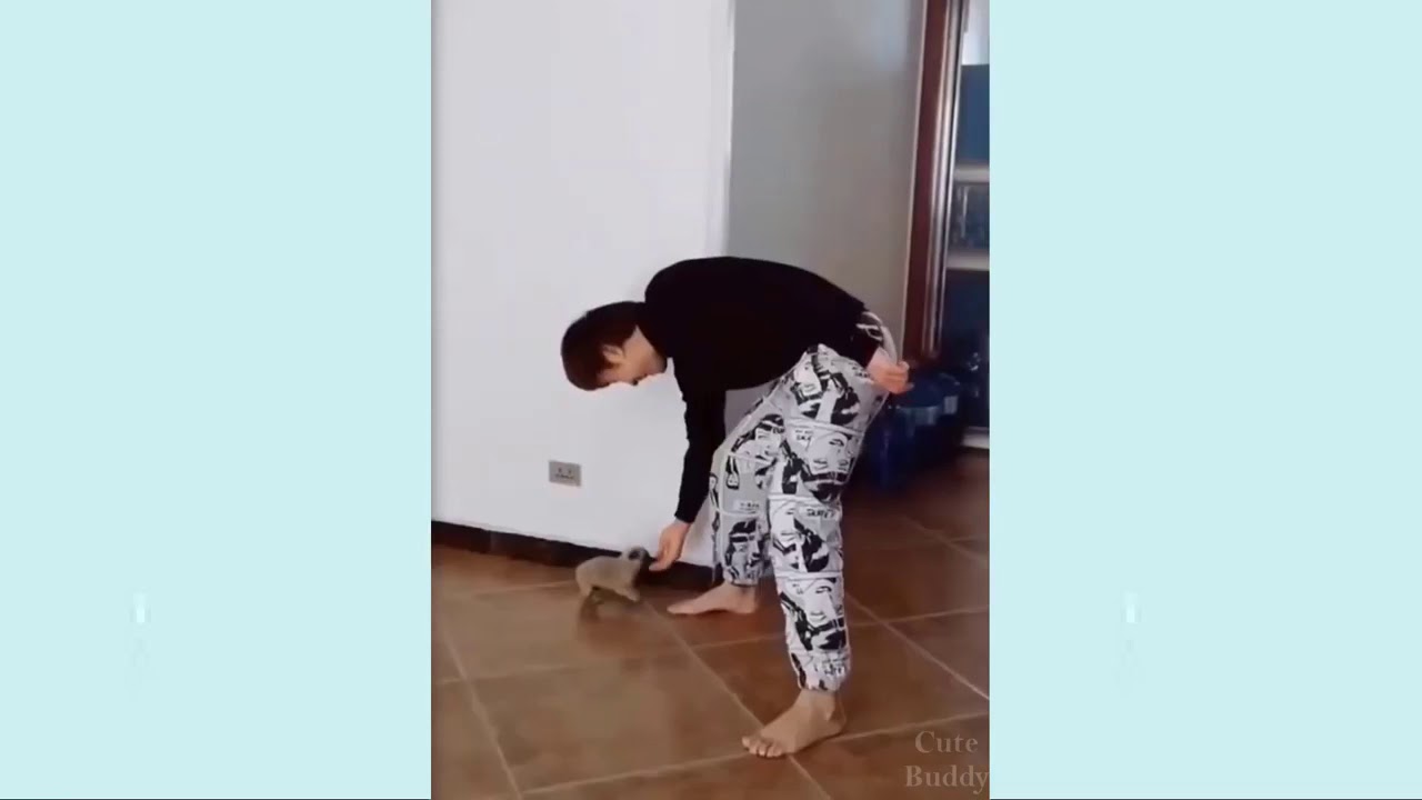Cute Puppies