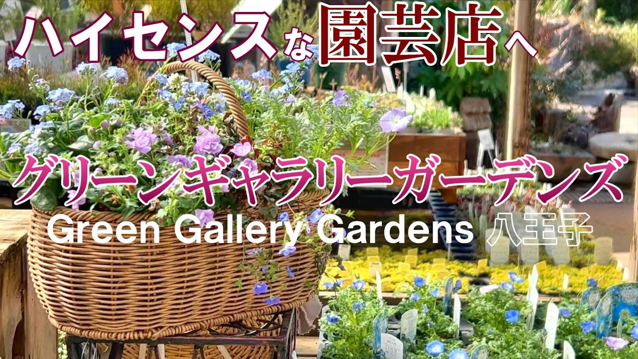 【素敵が溢れる園芸店】グリーンギャラリーガーデンズでお買い物｜購入品紹介｜ガーデニング