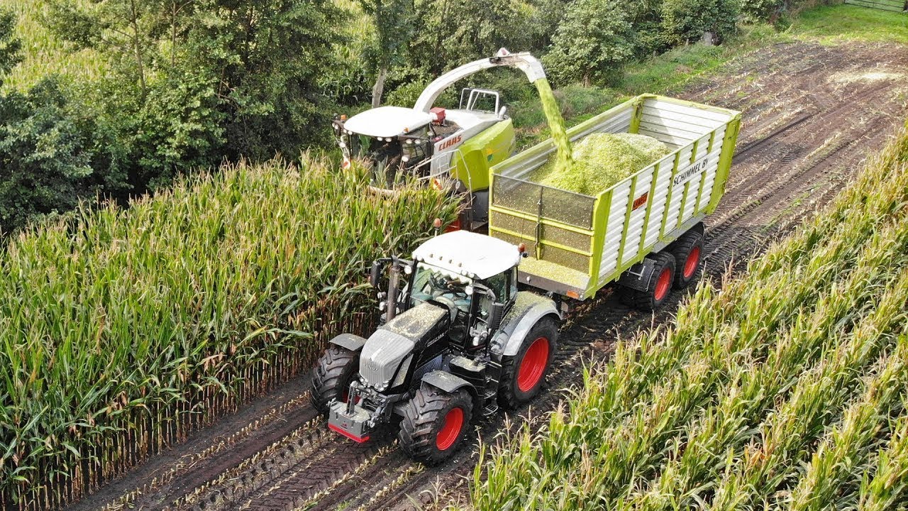 Mais Silage | Fendt 828 Vario Black Beauty + Claas Jaguar 950 | Schimmel | 2020