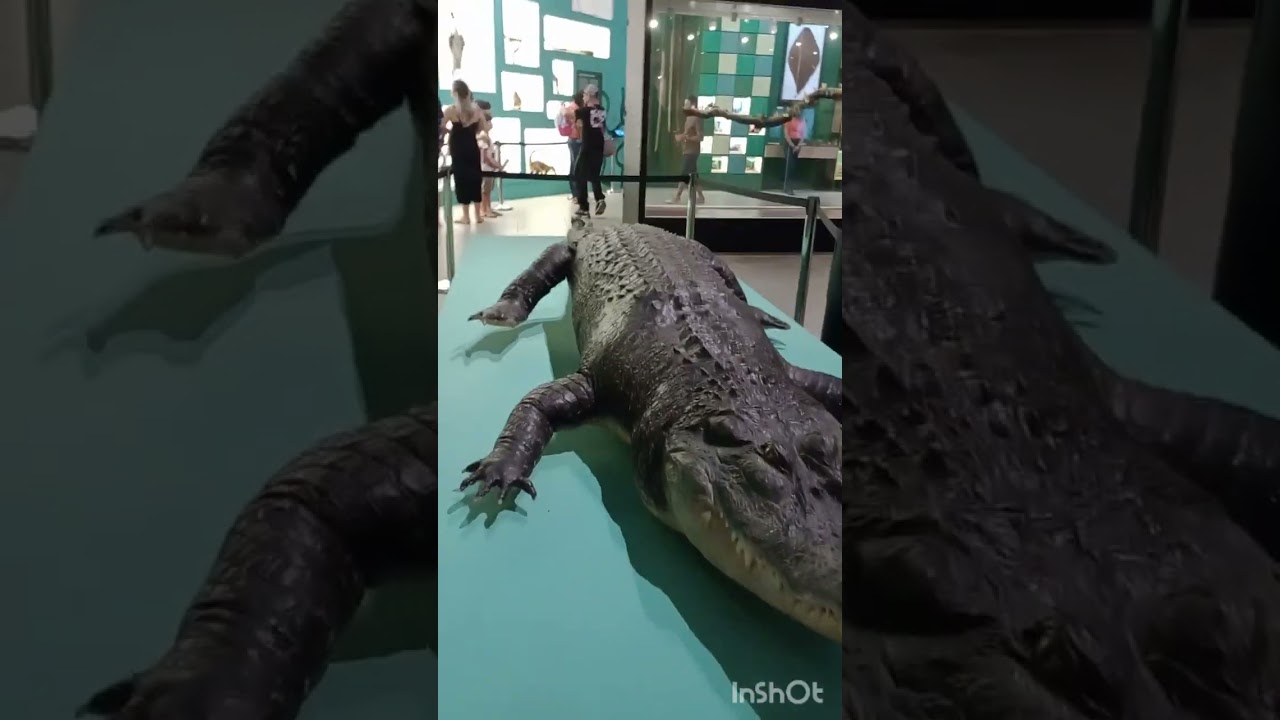 Passeio no Museu Emílio Guelde em Belém do Pará 